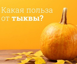 Тыква — полезный продукт для здоровья. 
