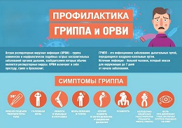 Будьте осторожны: грипп.